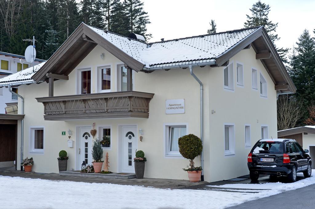 Appartement Horngacher Шеффау-ам-Вильден-Кайзер Экстерьер фото