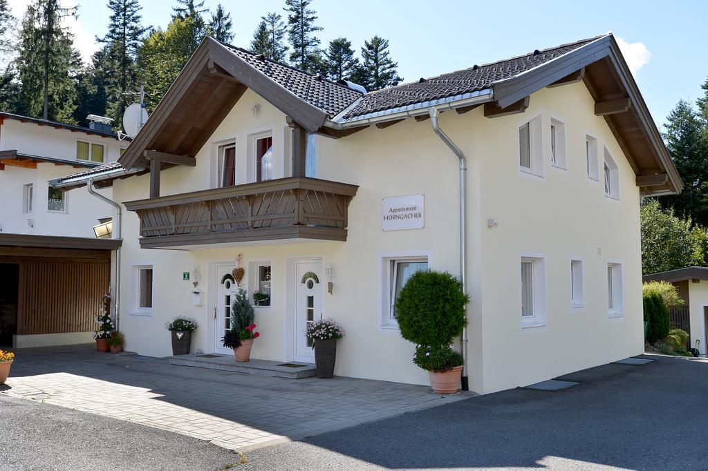Appartement Horngacher Шеффау-ам-Вильден-Кайзер Экстерьер фото